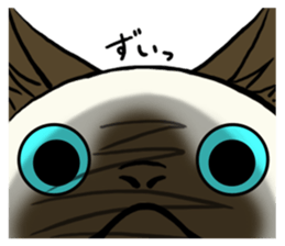 I like Siamese sticker #11939054