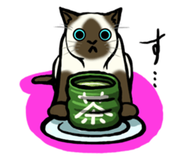 I like Siamese sticker #11939055