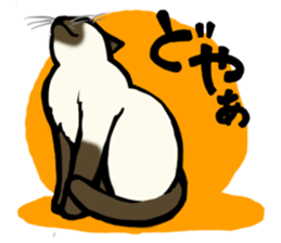 I like Siamese sticker #11939056