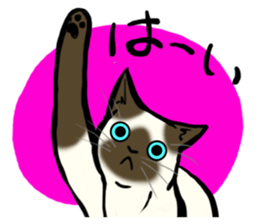 I like Siamese sticker #11939057