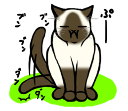 I like Siamese sticker #11939058