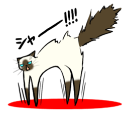 I like Siamese sticker #11939060