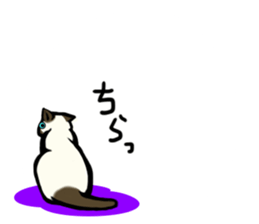 I like Siamese sticker #11939062