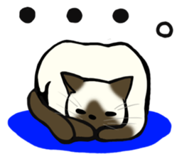 I like Siamese sticker #11939064