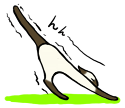 I like Siamese sticker #11939065