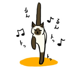 I like Siamese sticker #11939066