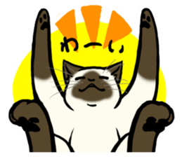 I like Siamese sticker #11939068