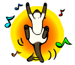 I like Siamese sticker #11939069