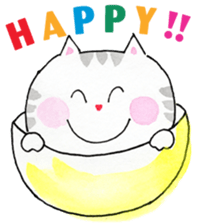 Fun cat every day sticker #11939109