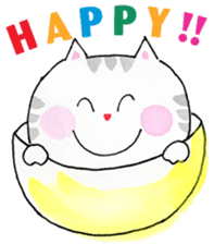 Fun cat every day sticker #11939109