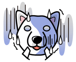 iinu - Hokkaido sticker #11941500