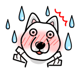 iinu - Hokkaido sticker #11941506