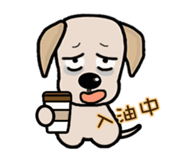 Labrador Bi IV sticker #11944684