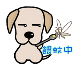 Labrador Bi IV sticker #11944690