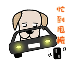 Labrador Bi IV sticker #11944696