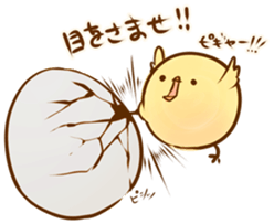 Noisy chick sticker #11948956