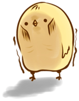Noisy chick sticker #11948957