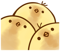 Noisy chick sticker #11948958