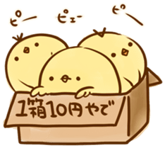 Noisy chick sticker #11948963