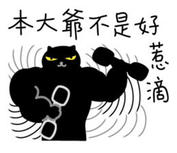 Now is my show! sticker #11949902