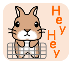 I'm a bunny named Mokotan (English) sticker #11950799