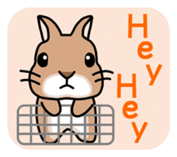 I'm a bunny named Mokotan (English) sticker #11950799