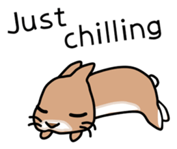 I'm a bunny named Mokotan (English) sticker #11950804