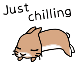 I'm a bunny named Mokotan (English) sticker #11950804