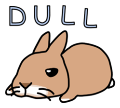 I'm a bunny named Mokotan (English) sticker #11950825