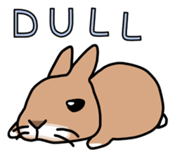 I'm a bunny named Mokotan (English) sticker #11950825