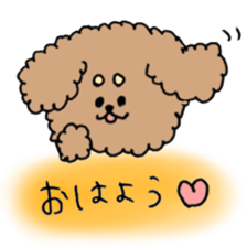 cute toy poodle life sticker #11951470