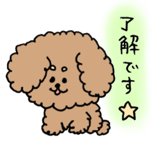cute toy poodle life sticker #11951471