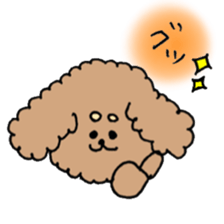 cute toy poodle life sticker #11951472