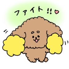cute toy poodle life sticker #11951474