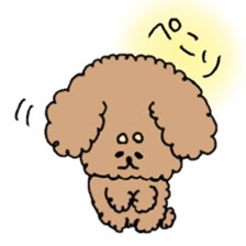 cute toy poodle life sticker #11951475