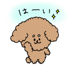 cute toy poodle life sticker #11951476