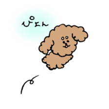 cute toy poodle life sticker #11951479
