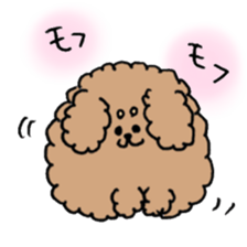 cute toy poodle life sticker #11951480