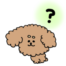 cute toy poodle life sticker #11951483