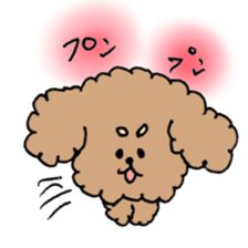cute toy poodle life sticker #11951485