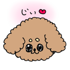 cute toy poodle life sticker #11951486