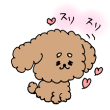 cute toy poodle life sticker #11951487