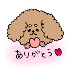 cute toy poodle life sticker #11951490