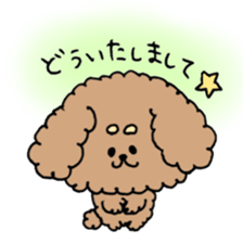 cute toy poodle life sticker #11951491