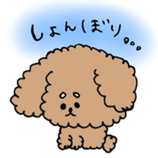 cute toy poodle life sticker #11951492