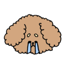 cute toy poodle life sticker #11951493