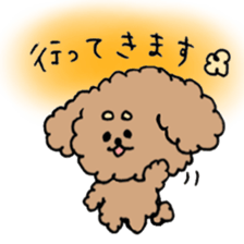 cute toy poodle life sticker #11951494