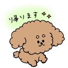 cute toy poodle life sticker #11951495