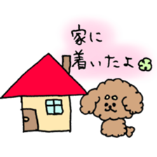 cute toy poodle life sticker #11951496