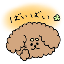 cute toy poodle life sticker #11951497